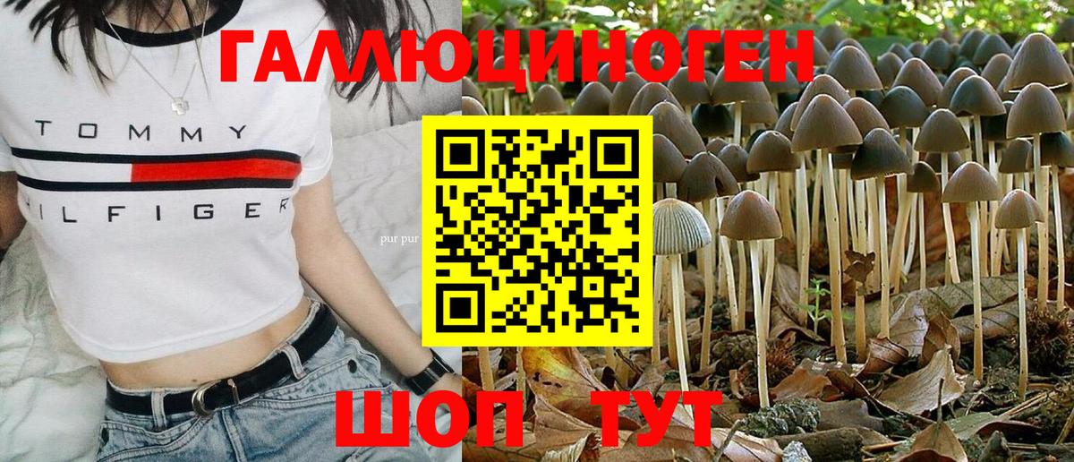 Балашов  Псилоцибиновые грибы мицелий  Вход с VPN 